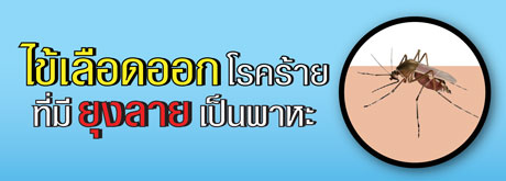 ความรู้ไข้เลือดออก