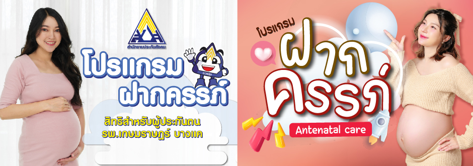โปรแกรมฝากครรภ์