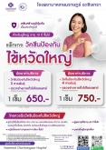 แพ็กเกจวัคซีน ไข้หวัดใหญ่