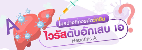 ใครบ้างที่ควรฉีด วัคซีนไวรัสตับอักเสบ เอ