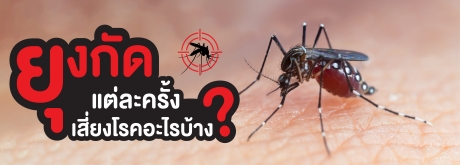 ยุงกัดแต่ละครั้งเสี่ยงโรคอะไรบ้าง
