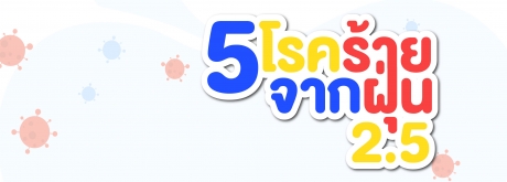 PM 2.5 ฝุ่นเล็กๆใครว่าไม่อันตราย