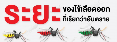 ระยะของไข้เลือดออก