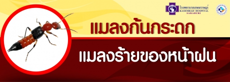 แมลงก้นกระดก