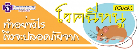 ทำอย่างไรถึงจะปลอดภัยจากโรคฉี่หนู