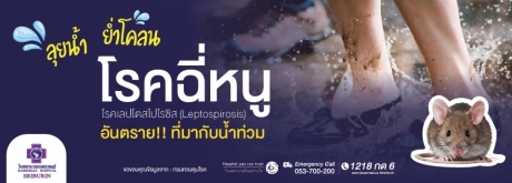 ลุยน้ำ ย่ำโคลน ฝนตกน้ำท่วม  ระวังโรคฉี่หนู